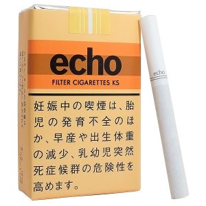 エコー ks (tkm echo ks)