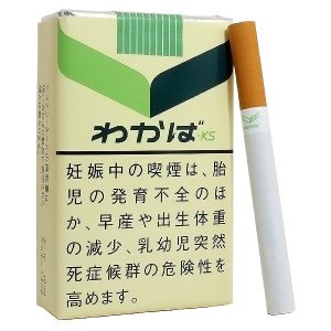 わかば ks (tkm wakaba ks)