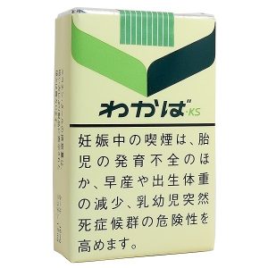 わかば KS (tkm-wakaba_ks) わかば ks (tkm wakaba ks)