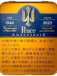 【数量限定】ピース アンバー ノート (tkm peace ambernote)