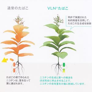 vln(ブイエルエヌ) メンソール (tkm vln me)